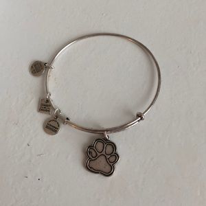 Alex & Ani Bracelet